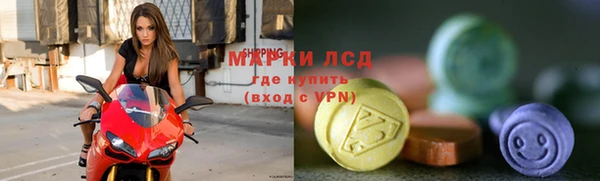 ГАЛЛЮЦИНОГЕННЫЕ ГРИБЫ Переславль-Залесский