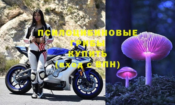 ГАЛЛЮЦИНОГЕННЫЕ ГРИБЫ Переславль-Залесский