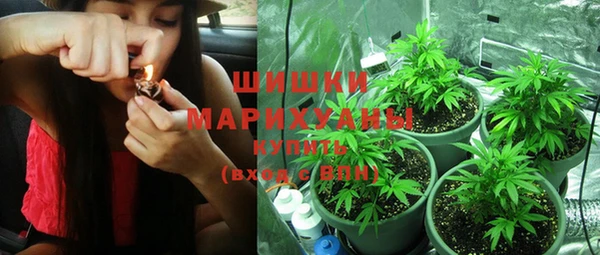 ГАЛЛЮЦИНОГЕННЫЕ ГРИБЫ Переславль-Залесский