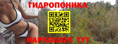 прущие крисы Малоярославец