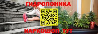 прущие грибы Можайск