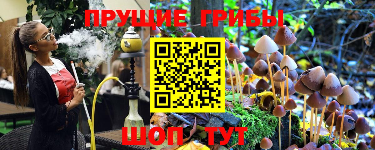 Галлюциногенные грибы мицелий Тара