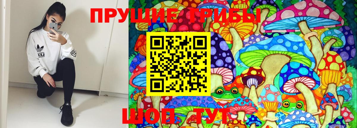Тара  Галлюциногенные грибы GOLDEN TEACHER  Вход с VPN  Псилоцибиновые грибы мицелий 